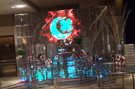 威特姆光电通明LED显示屏